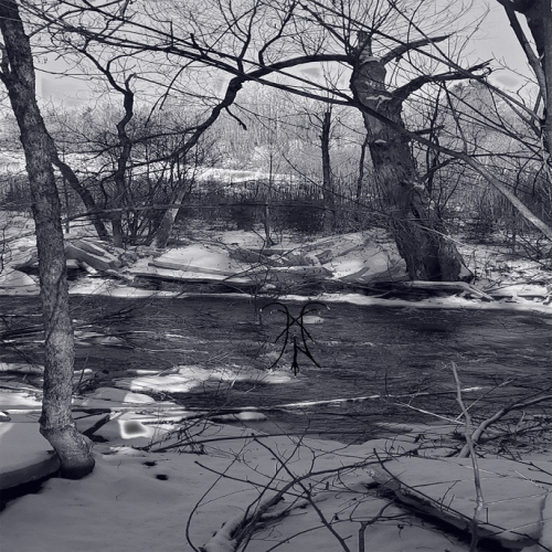 Mystère Nordique : Miiistère Nordike